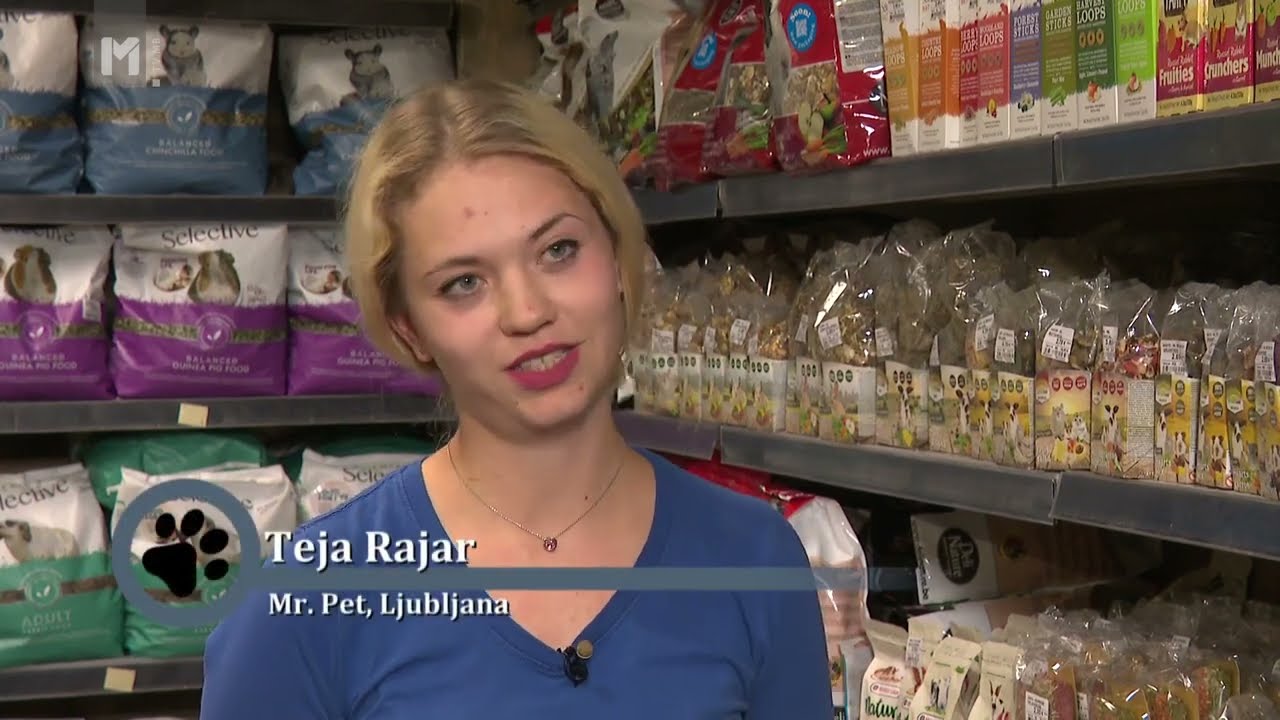Činčila/Mr.Pet/O živalih in ljudeh