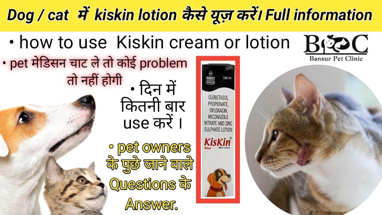 How to use kiskin lotion/ cream full information