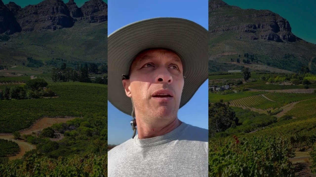 Blackwater Wines | Premium South African Wines Hero Producers | Humble Grape