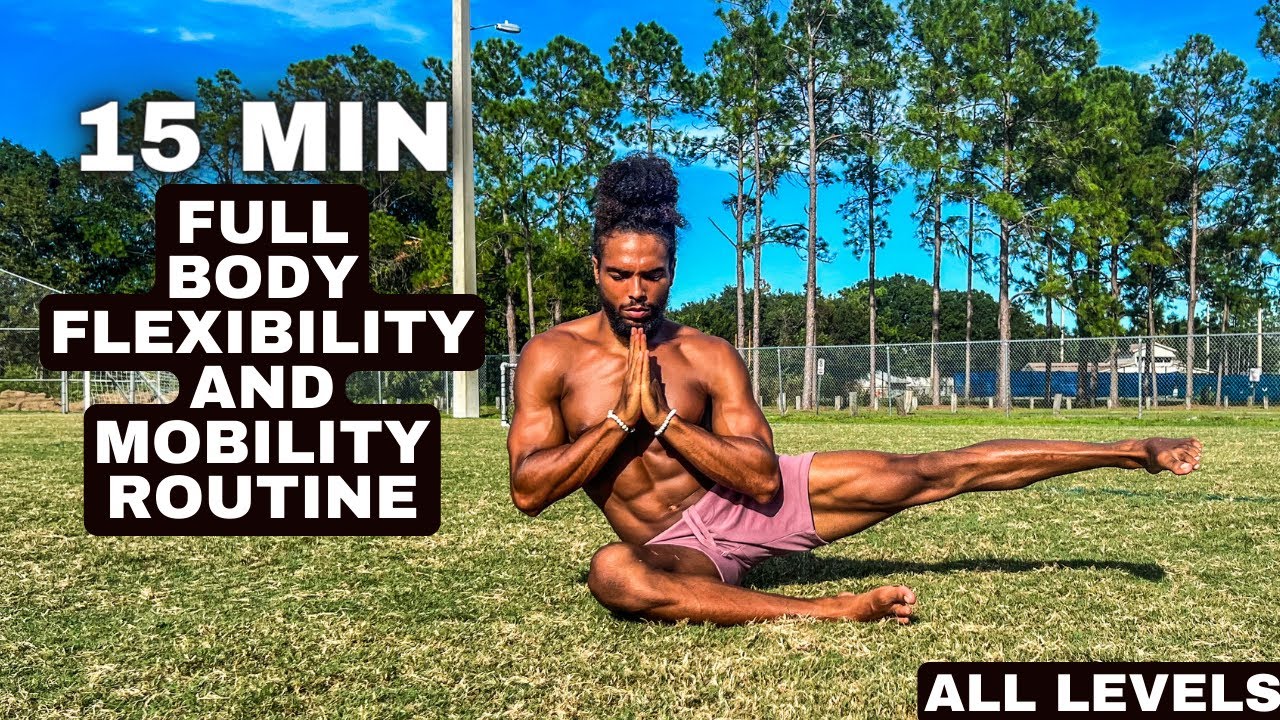 15 Min Full Body Flexibility And Mobility Routine (All Levels)