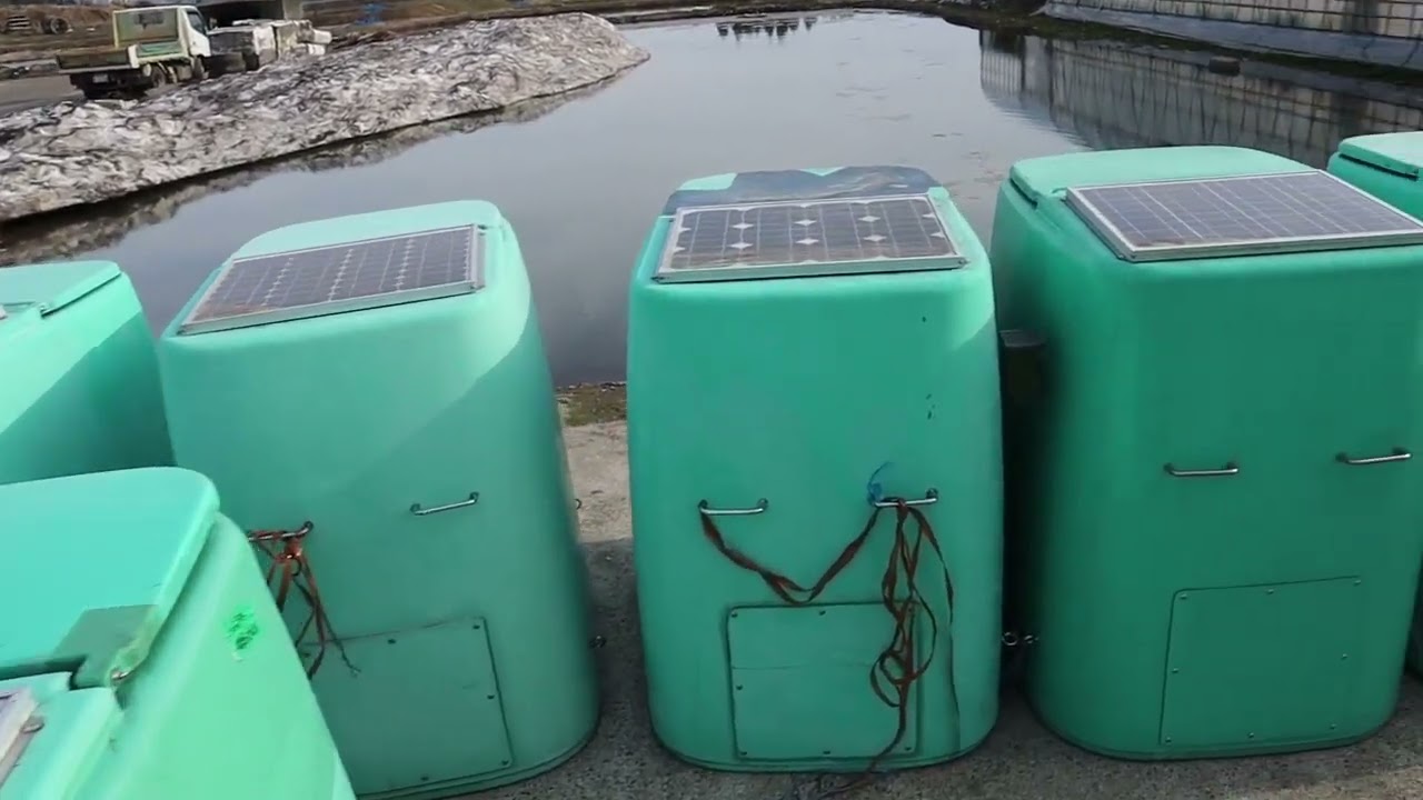 Binnenkijken bij: Marusei Koi Farm