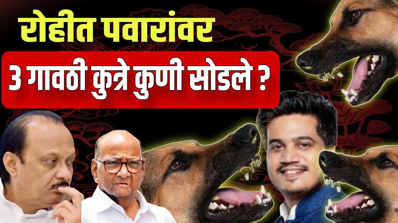 रोहीत पवारांवर सोडलेले तीन कुत्रे कोणते ? Ajit Pawar Plane Crash 