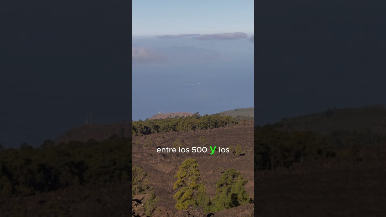 Mar de Nubes Tenerife, Islas Canarias - Turismo TV
