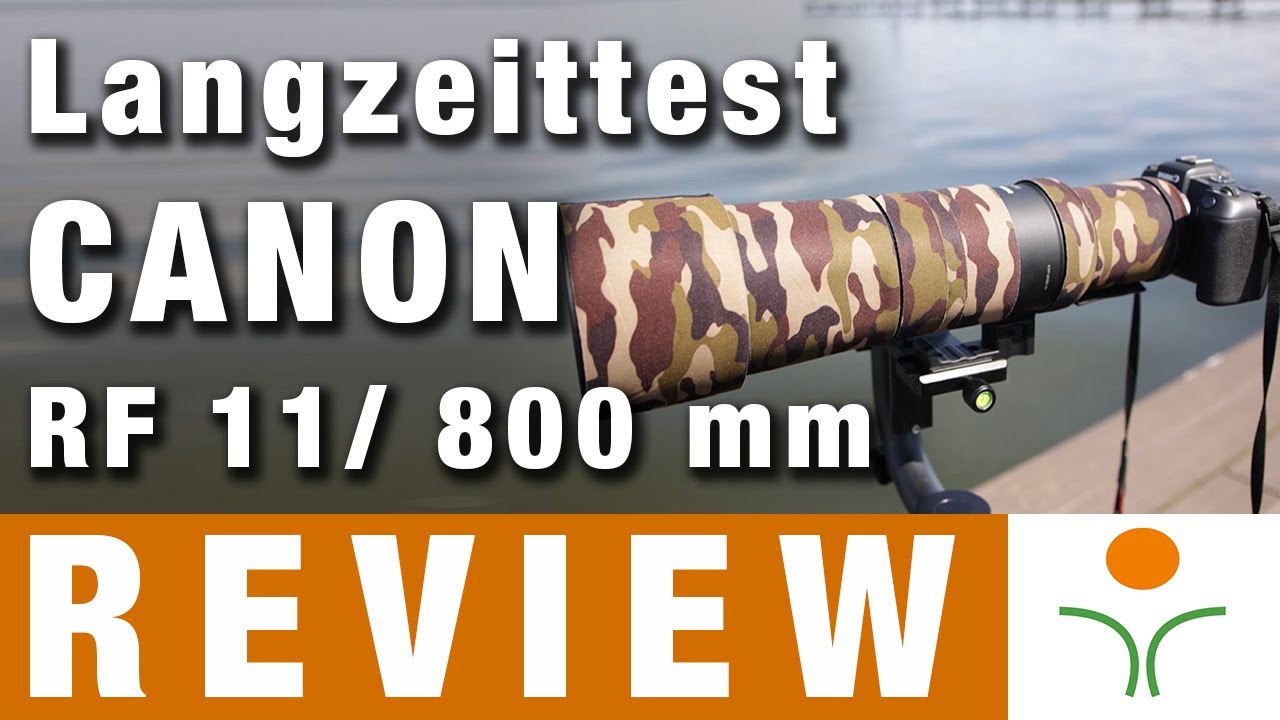 Langzeit Review Canon RF 11/ 800 mm - Top oder Flop - Aus dem Alltag eines Naturfotografen