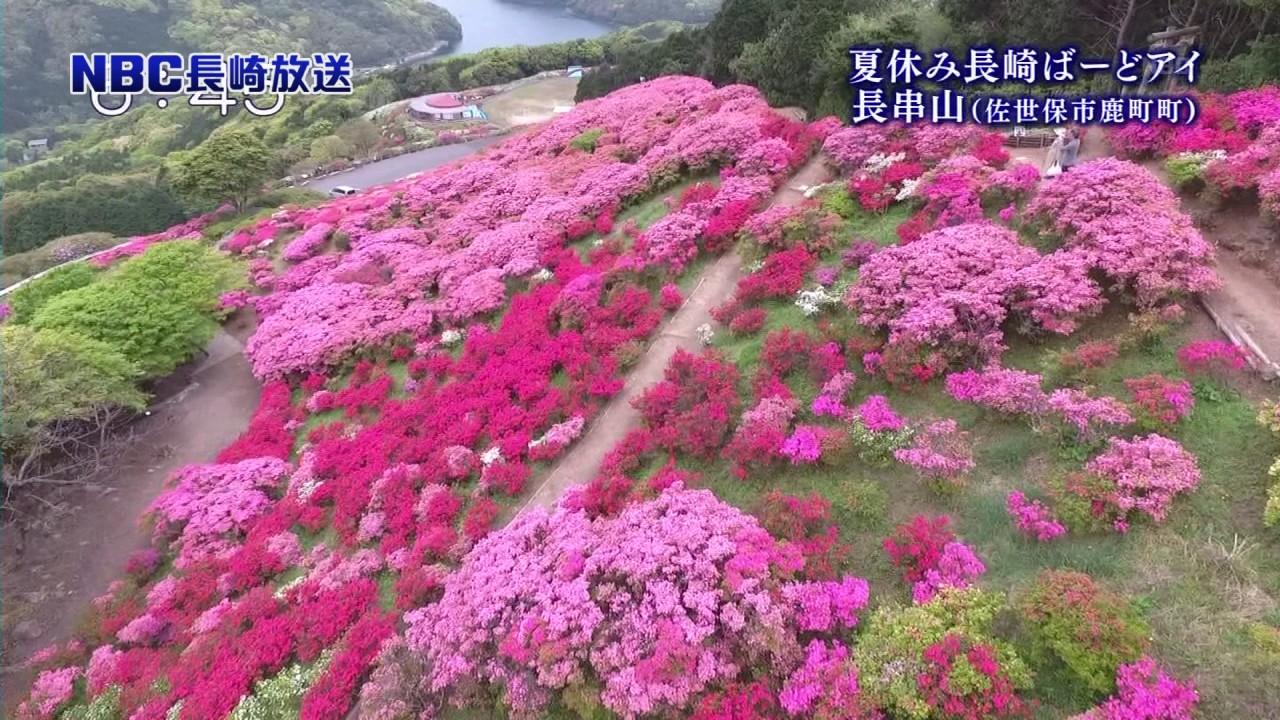 長崎ばーどアイ　長串山（佐世保市鹿町町）