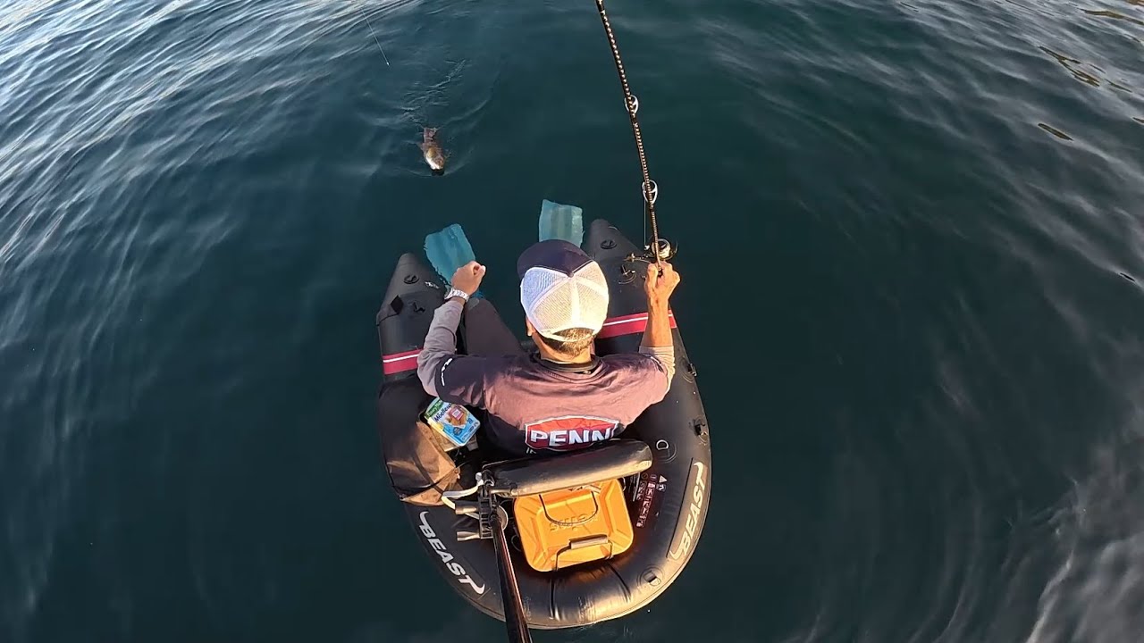 PÊCHE depuis mon fauteuil flottant (Float Tube ) en MER au leurre et aux appâts