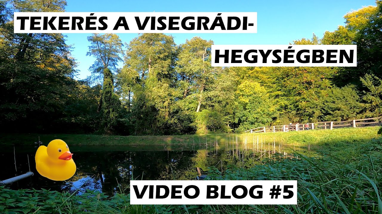 Megkergetett egy kutya - Teker&eacute;s a Visegr&aacute;di-hegys&eacute;gben 🚴🏼&zwj;♂️ - 2021. -
