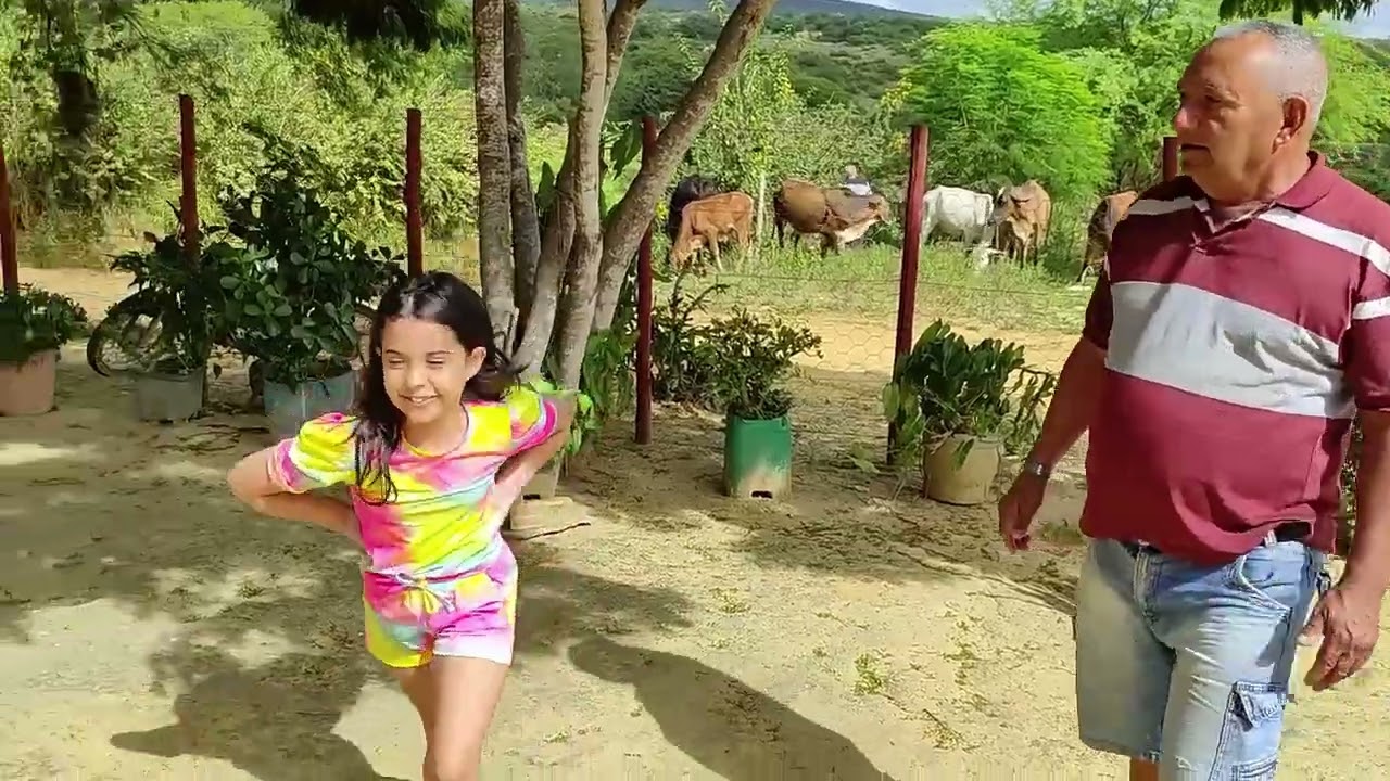 Na roça de Vó Mira
