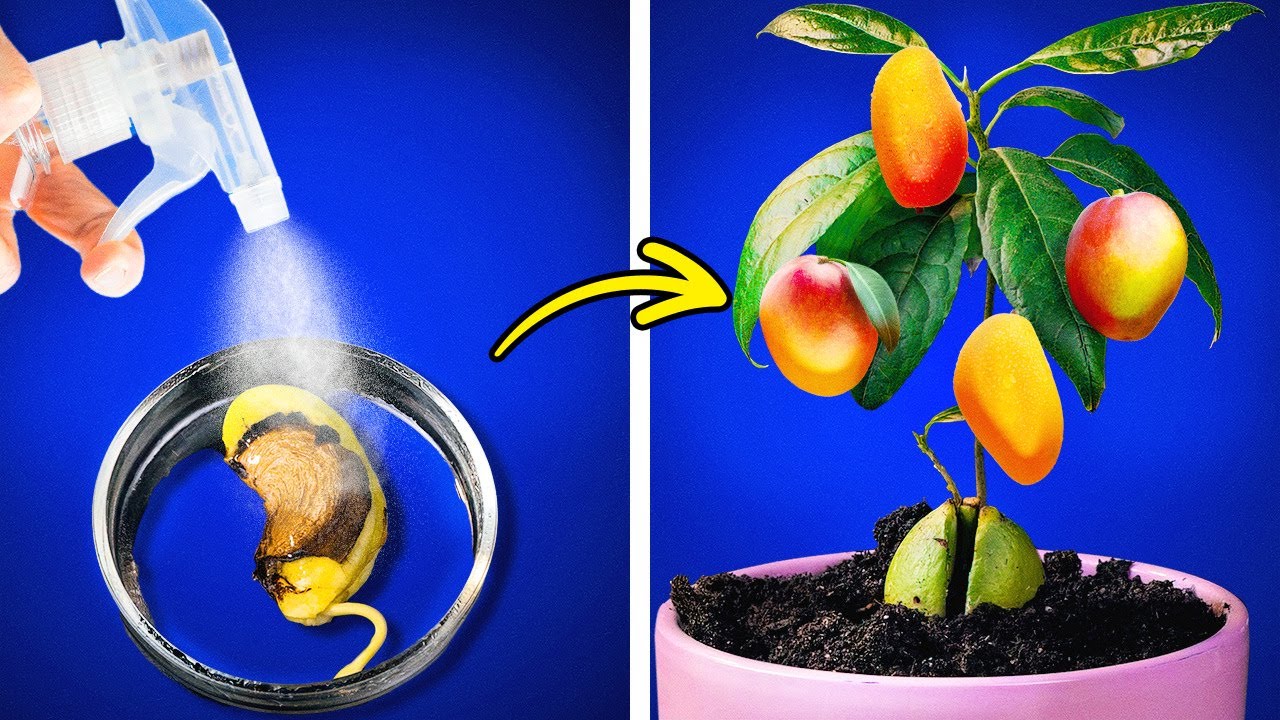 SIMPLE HACKS TO TAKE CARE OF YOUR PLANTS AT HIGH LEVEL