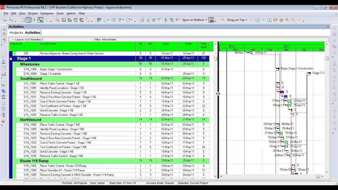 Primavera P6: Format Columns