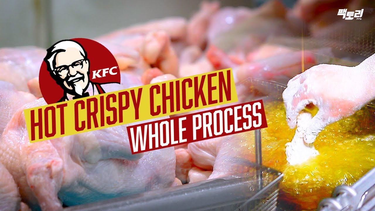 놀라운 KFC 치킨..원육 가공에서 튀김까지  How to make KFC Crispy Chicken / KFC Chicken in Korea [FactorySecret]