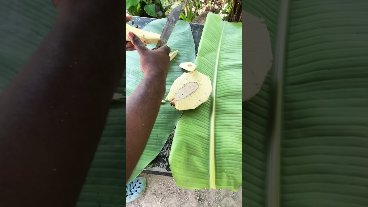 Roasted  yellow heart breadfruit