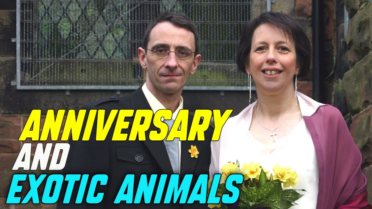 Wedding Anniversary and Exotic Animals