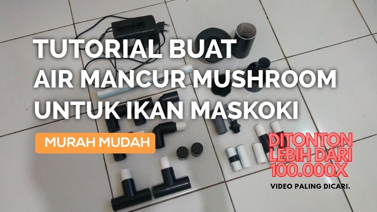 Tutorial Membuat Air Mancur Mushroom Untuk Ikan Maskoki