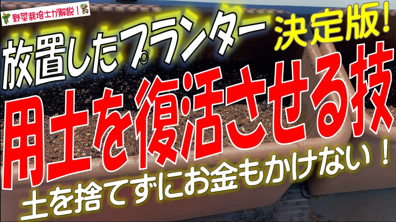 冬に放置したプランターを春に復活させる方法（費用を掛けない栽培用土の再生方法）