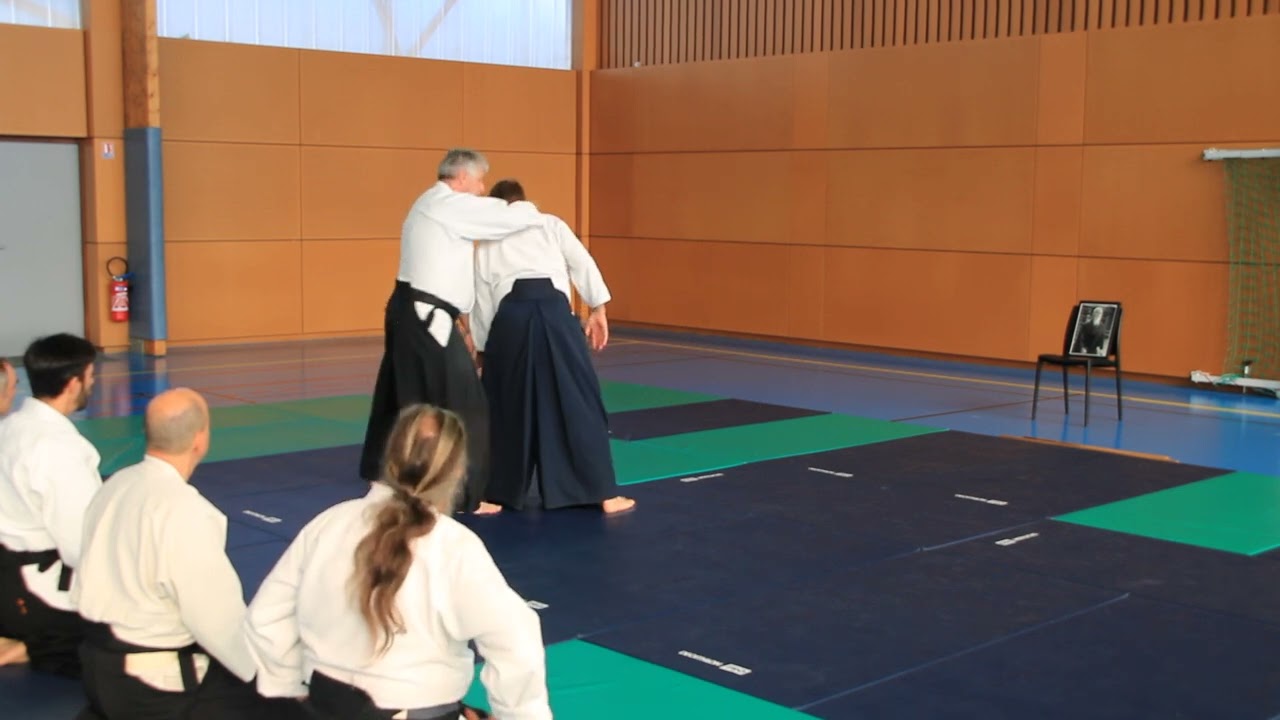 Gyaku hanmi katate dori irimi nage