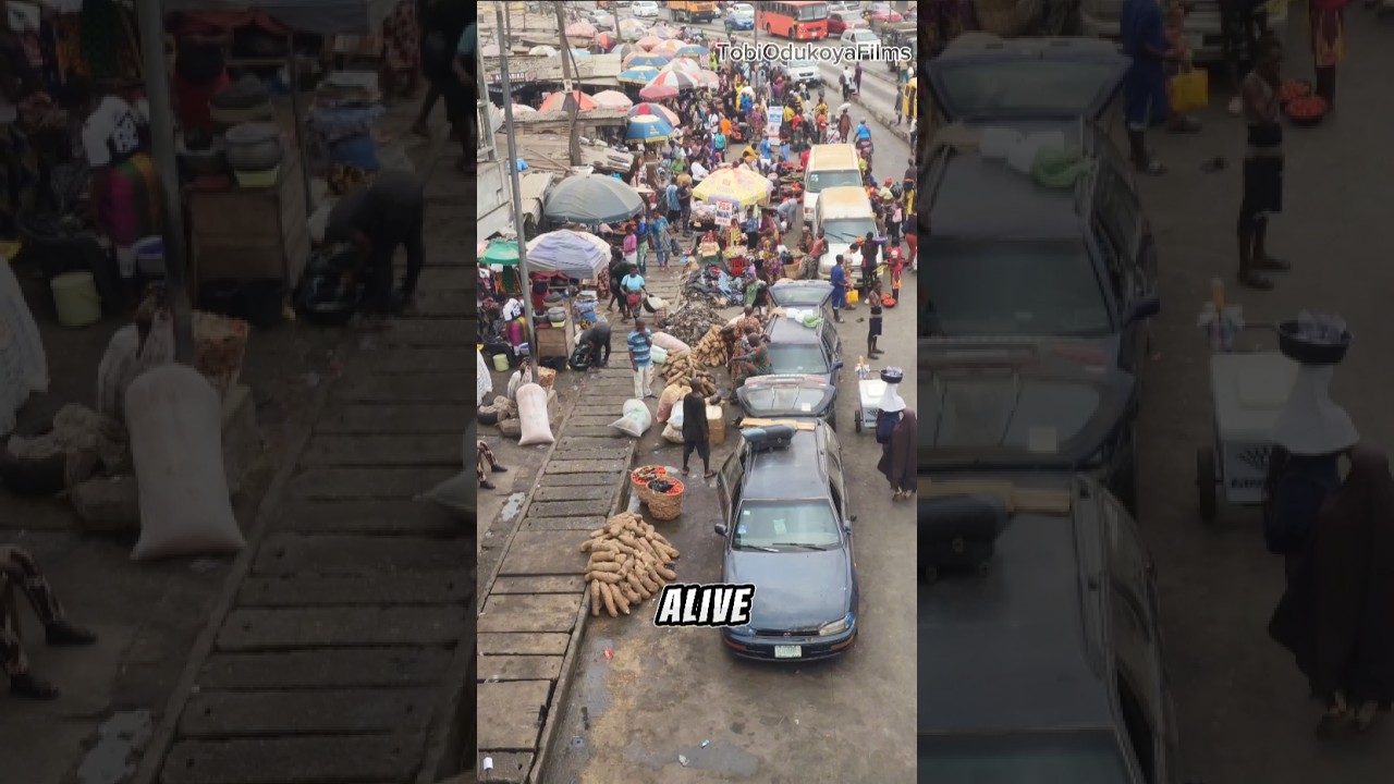 Food shopping at Mile 12 international market Lagos, Nigeria. #costofliving #africanmarket #market