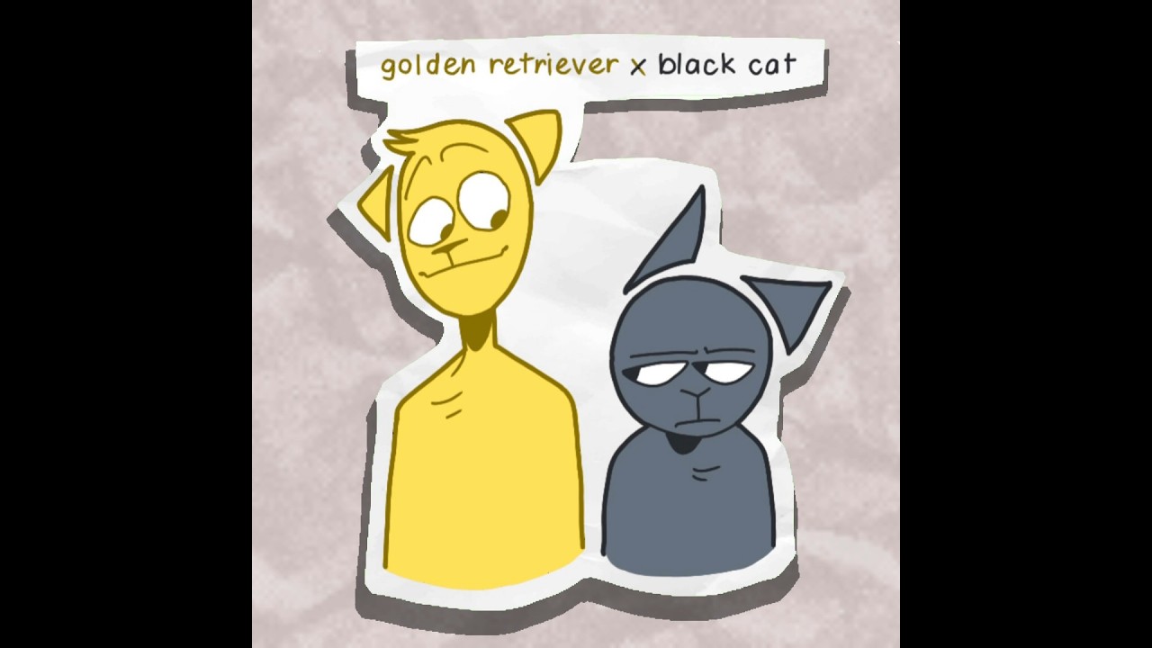 favorite ship dynamics - animation trend
