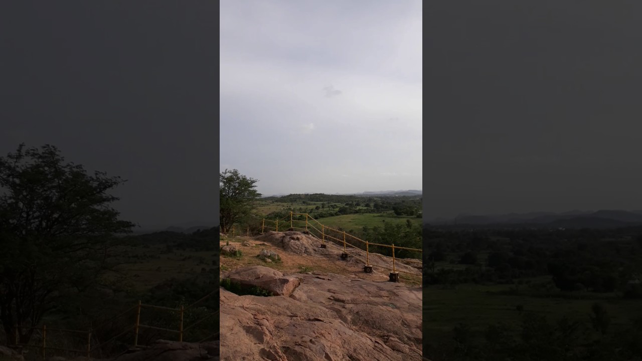 Haritha Vanam