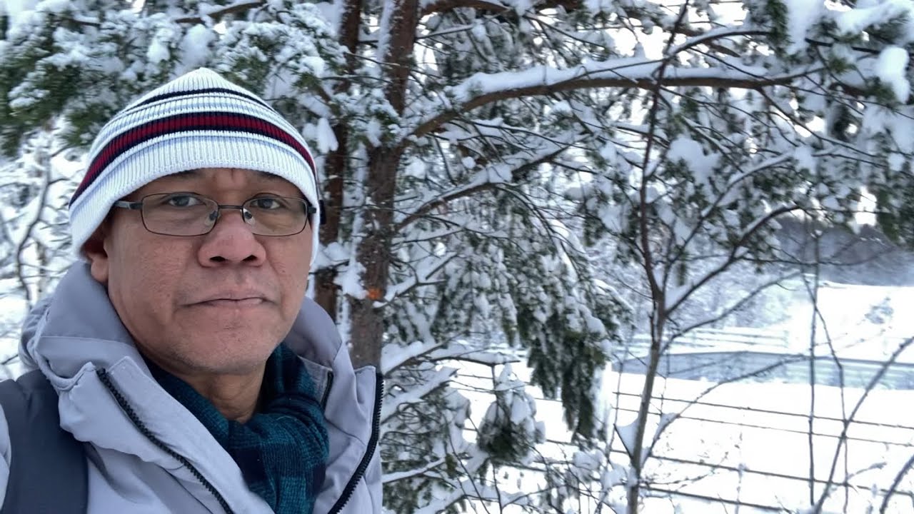 Winter Swedia berselimbut salju