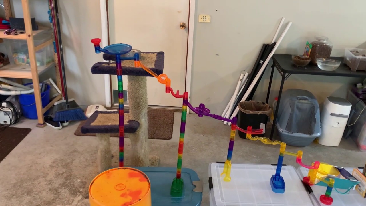 Murray Family Rube Goldberg Machine | May 2020