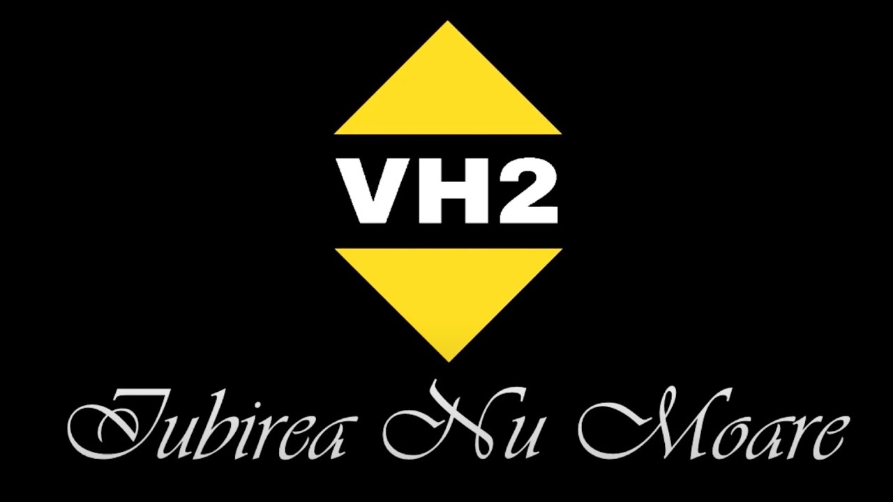 VH2 - Iubirea nu moare | Visualizer