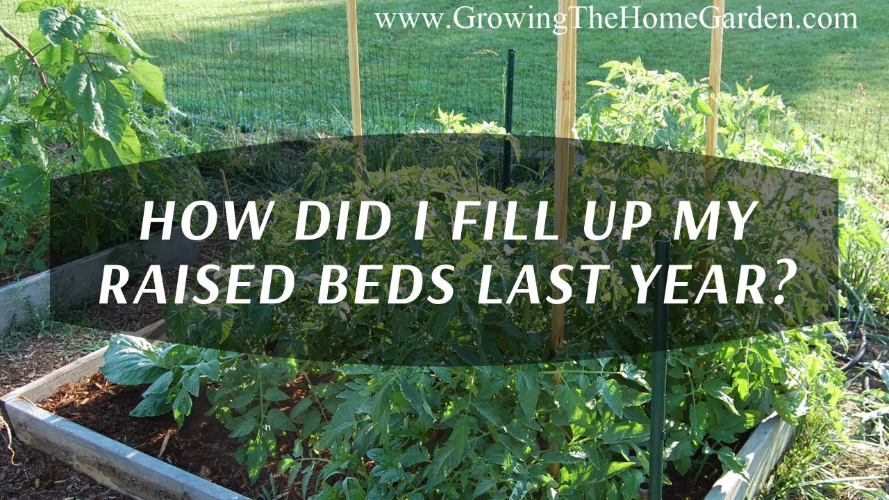 I Filled My Raised Bed Vegetable Garden with Wood Chips, Here are the Results!