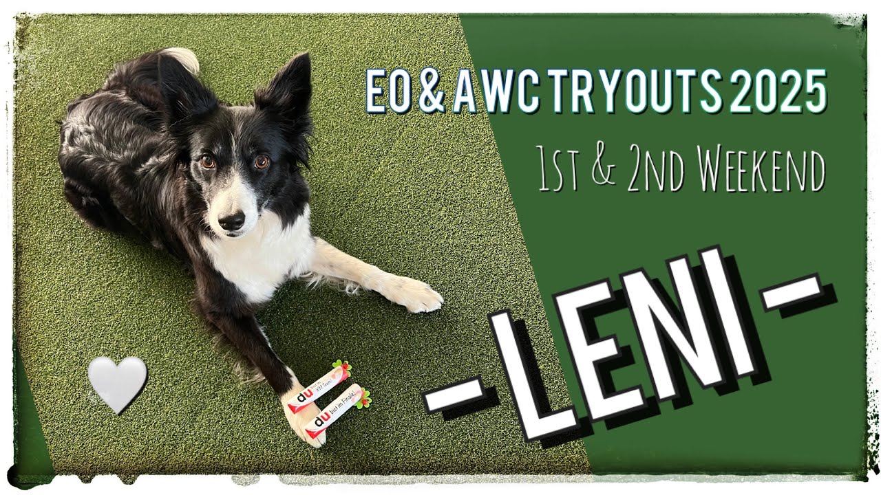 ✨ Our Way to Portugal and Sweden ✨ | EO and AWC Tryouts 2025 | Dani Lehrer & Leni