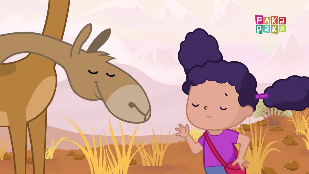 Animales Andinos - Guanacos - Canal Pakapaka