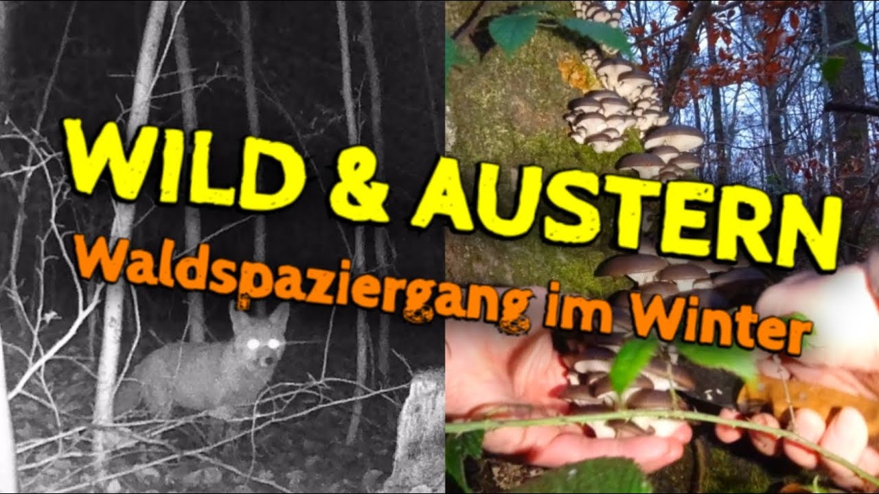 Mit so viel hätte ich nicht gerechnet!