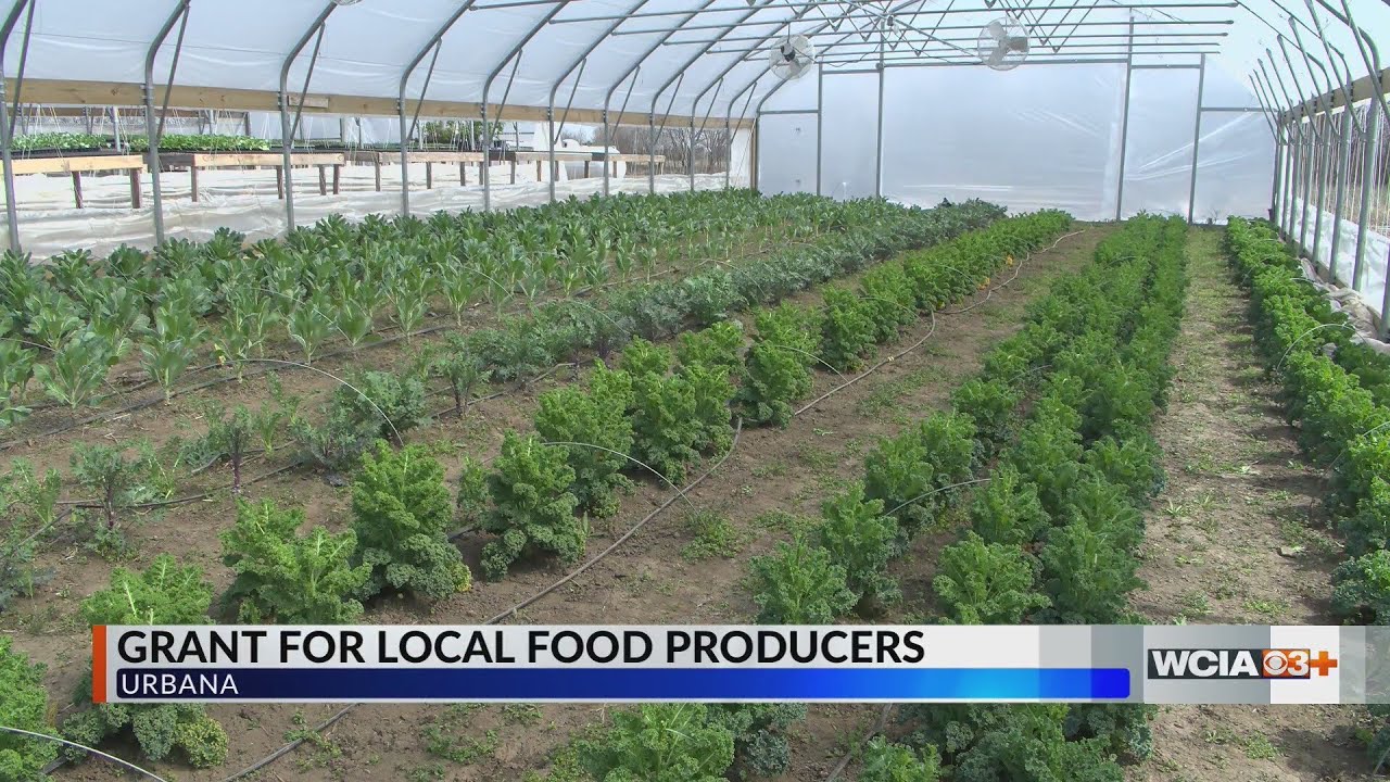 IL offering more than $3 million grant to help local food producers