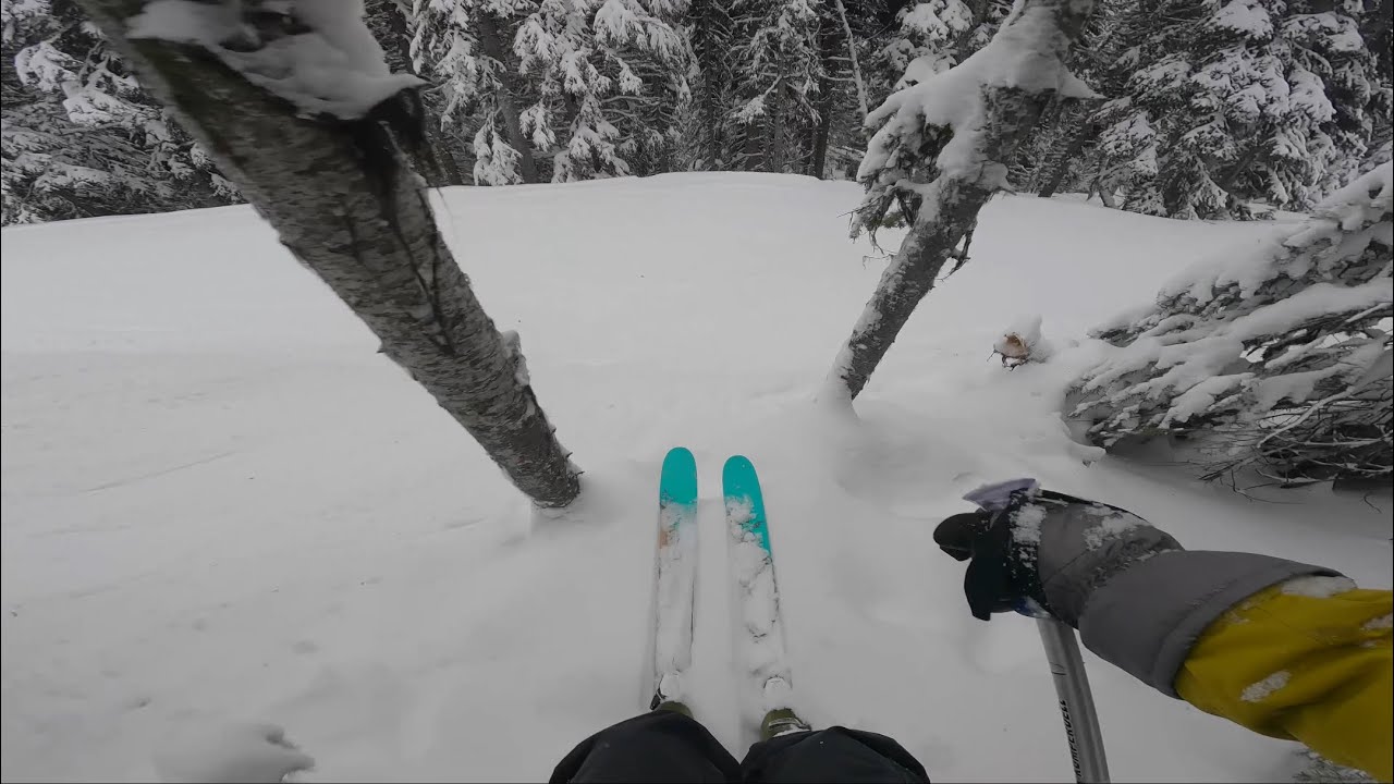Trees and Powder at Apex