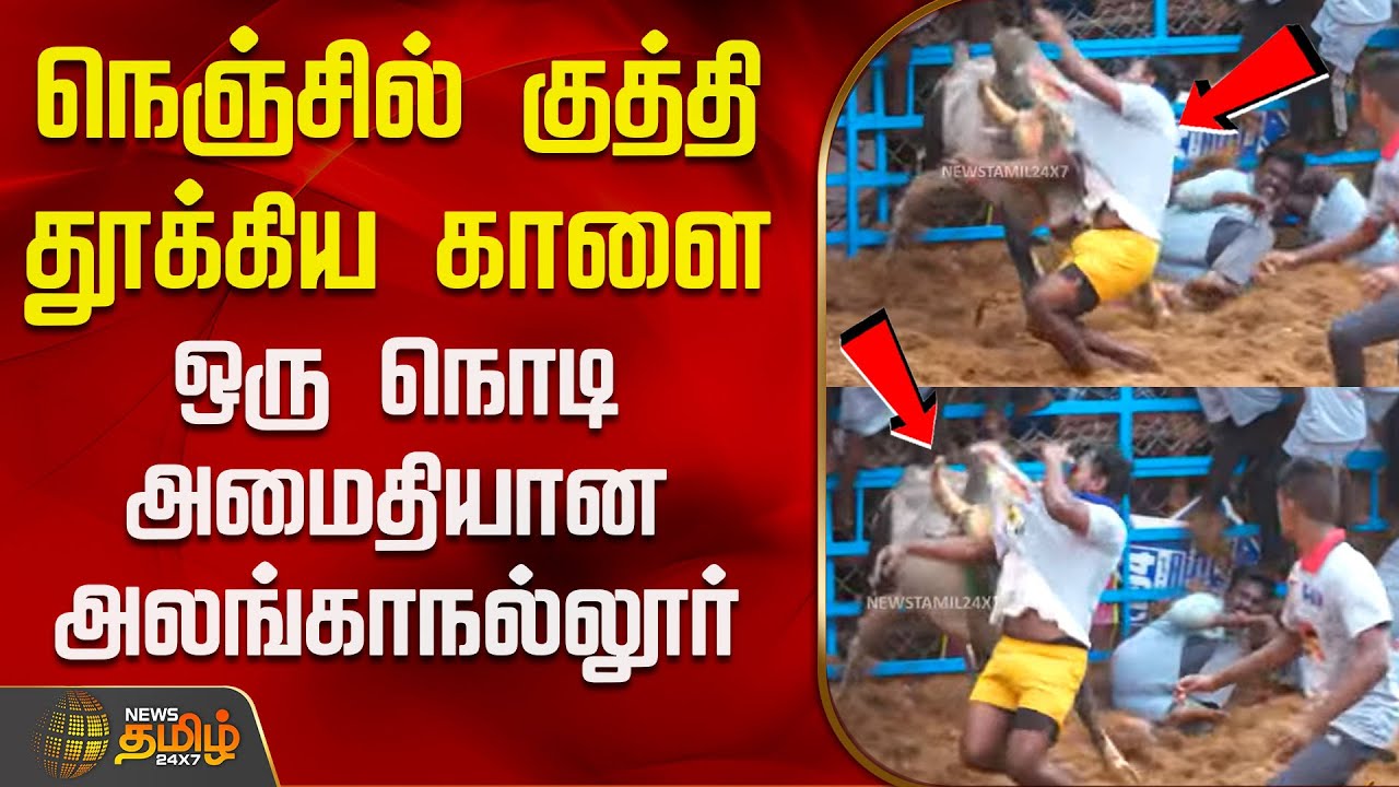 நெஞ்சில் குத்தி தூக்கிய காளை - ஒரு நொடி அமைதியான அலங்காநல்லூர் | Alanganallur Jallikattu | Madurai