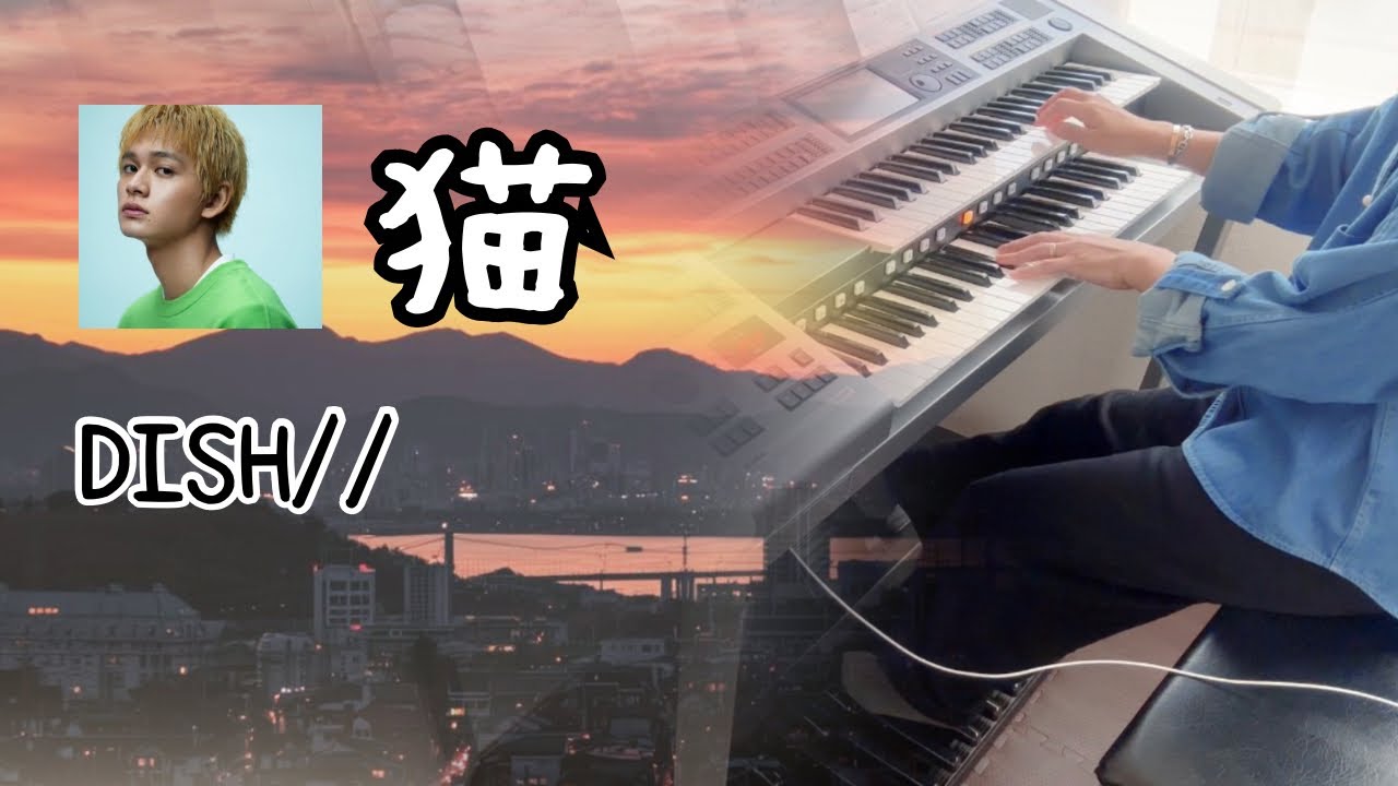 猫  《DISH//》  北村匠海   ✰︎ エレクトーン演奏 ✰︎