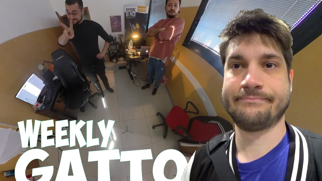 Weekly Gatto - Surprise Trips