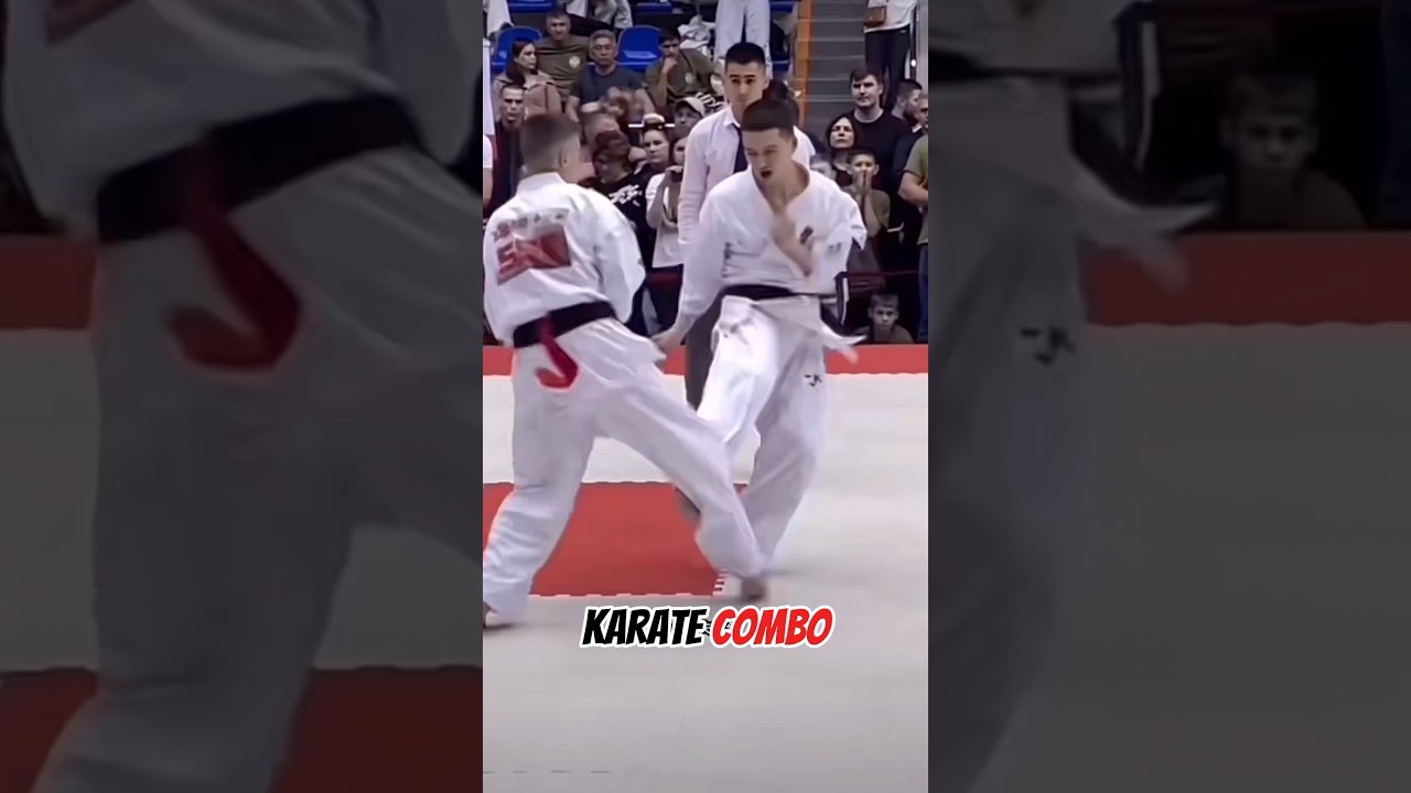 Karate kyokushin combo 🥋 #karate #mma #martialarts