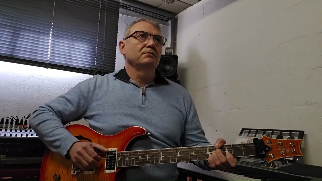 Henri Salvador   Jardin d'hiver  Guitare Cover