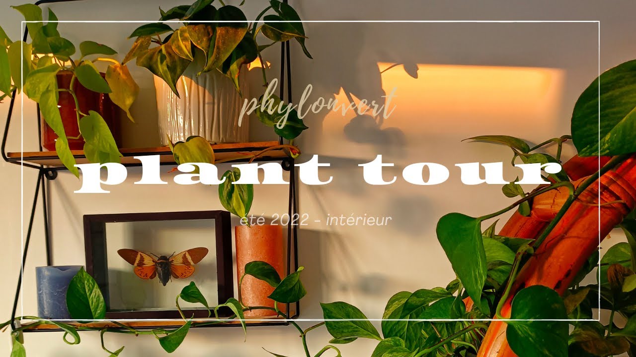 Plant tour - édition 2022