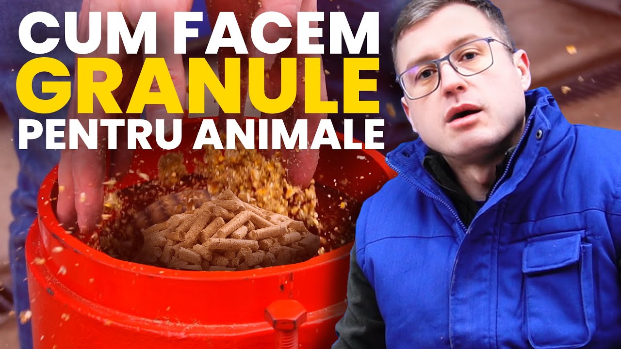 Granulator de Cereale | Animal feed pellet mill
