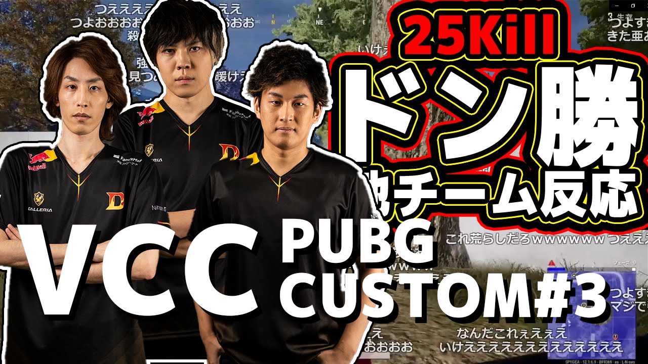 【PUBG】伝説のDTN3BRが25キルの大量キルドン勝 他チーム反応まとめ【2021/07/01】