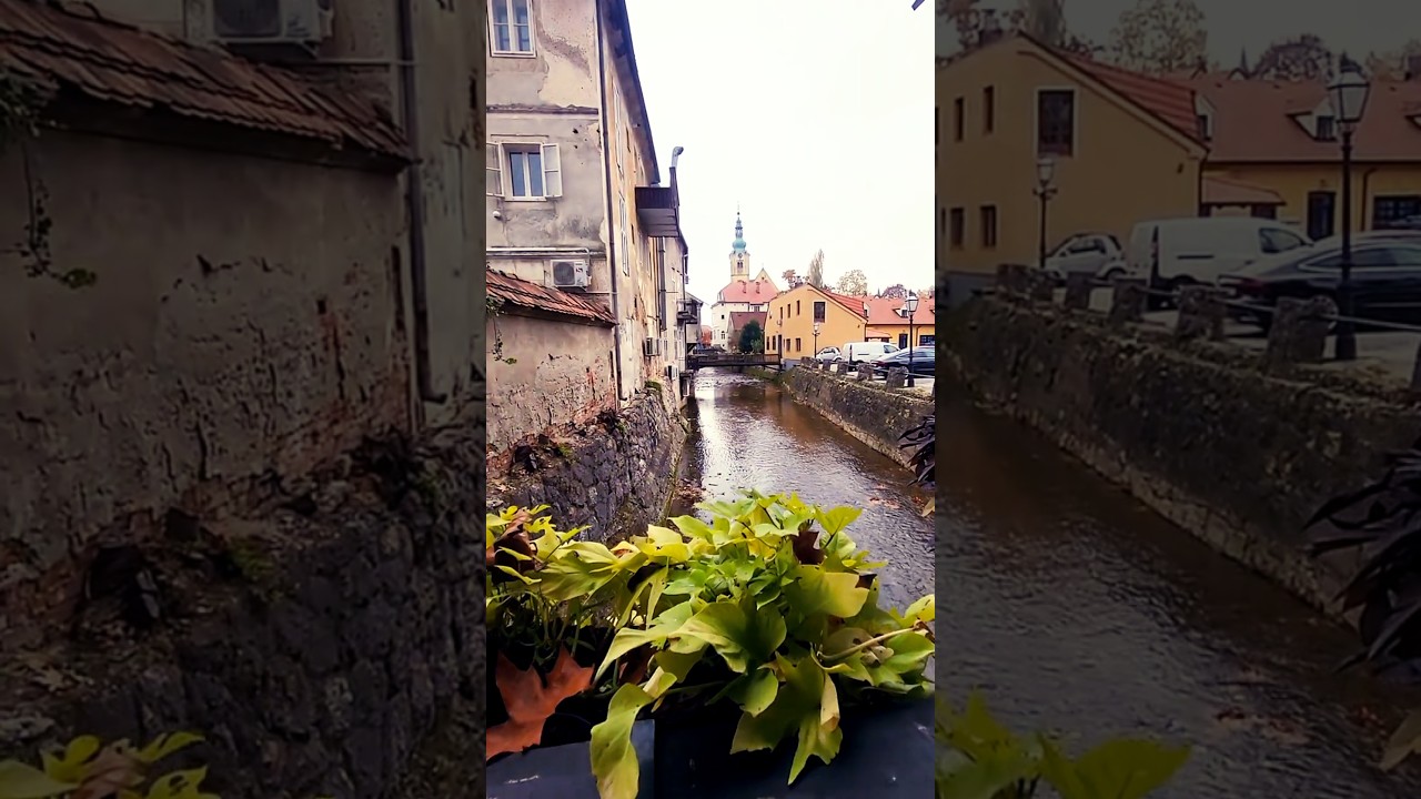 Walking along Samobor's 🇭🇷 Gradna Creek 