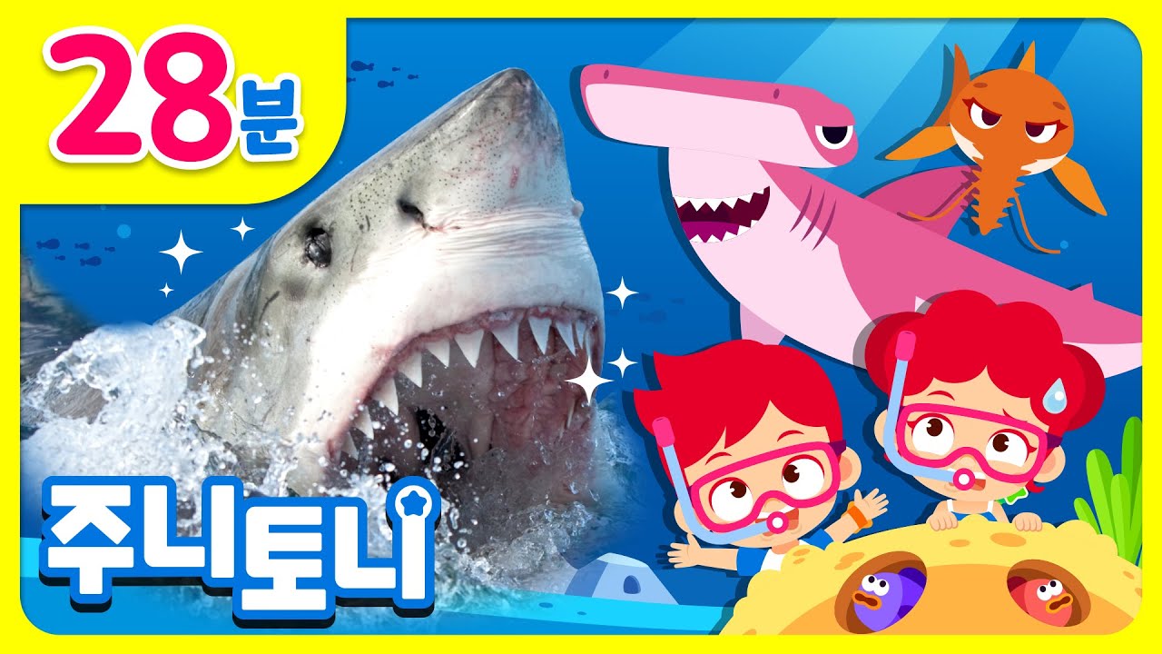 🦈상어 총출동 모음집 | 뾰족뾰족 이빨! 상어 모두 모여라 | 백상아리, 범고래, 톱상어, 귀상어 | 바다동물동요 | 동요 연속듣기 | 주니토니 | JunyTony