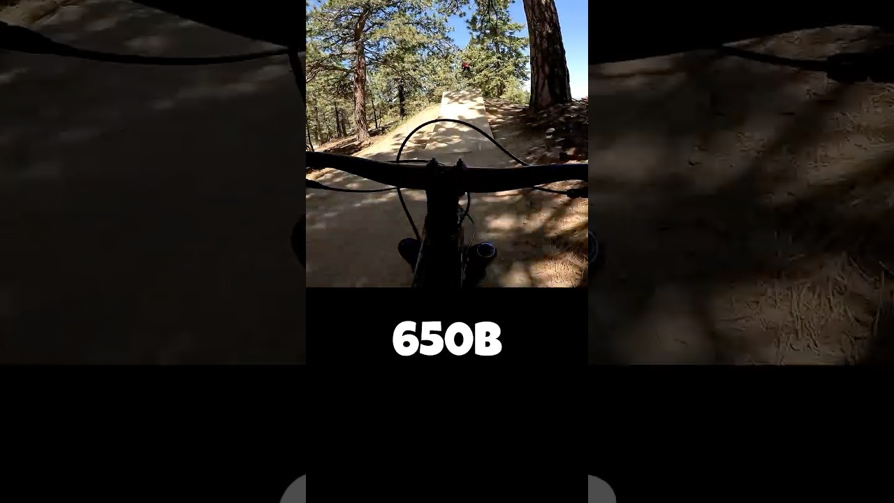 Party Wave Snow Summit Mountain Bike Park 2025 #mtbmor #partywave #snowsummit