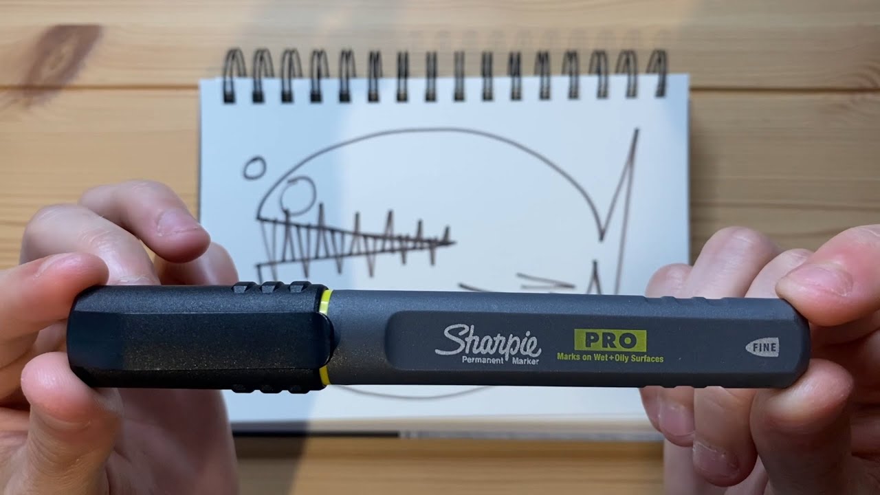 Drawing with a Sharpie Pro Fine Point Permanent Marker - Review