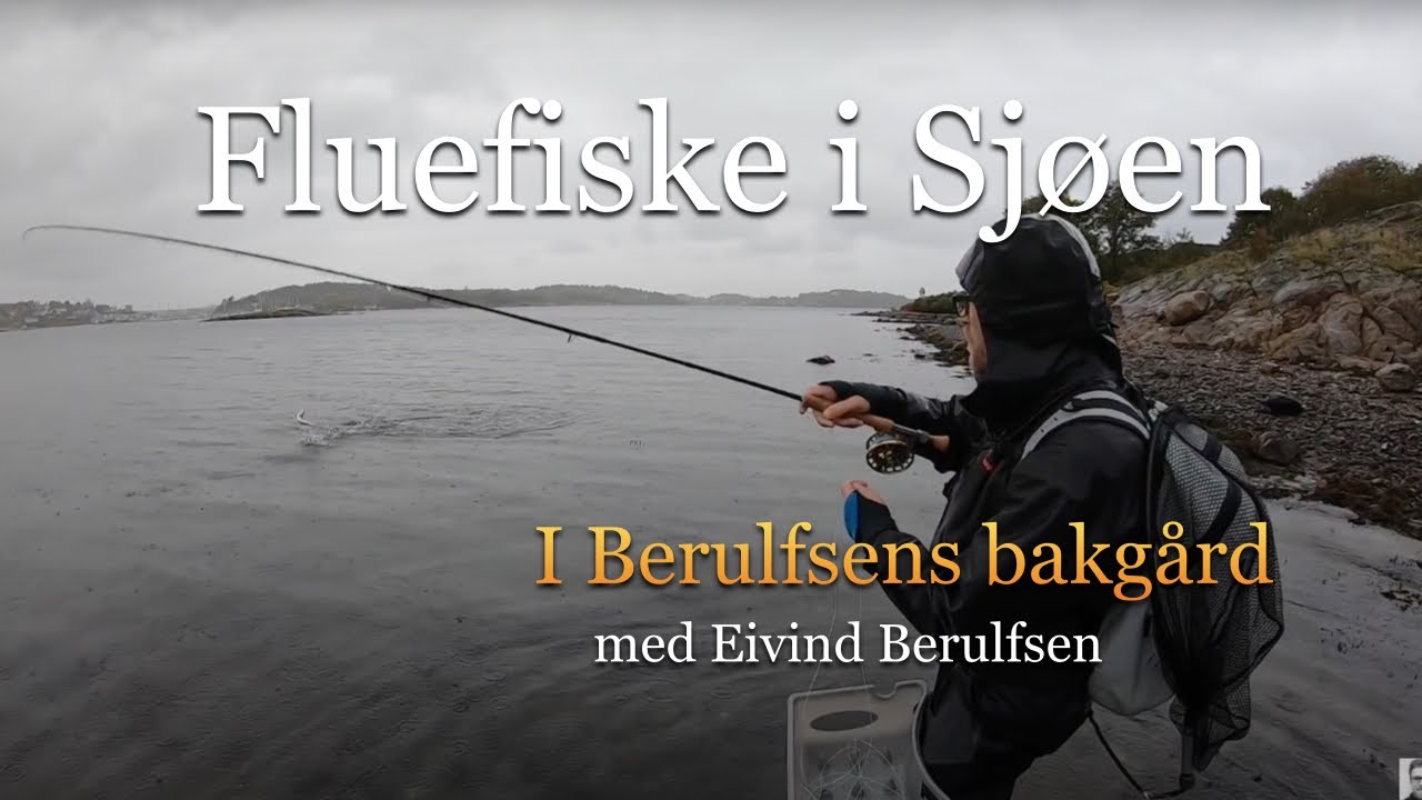 Fluefiske i sjøen. Episode 7 - 2019. I Berulfsens bakgård. Med Fluefiskern Eivind Berulfsen.
