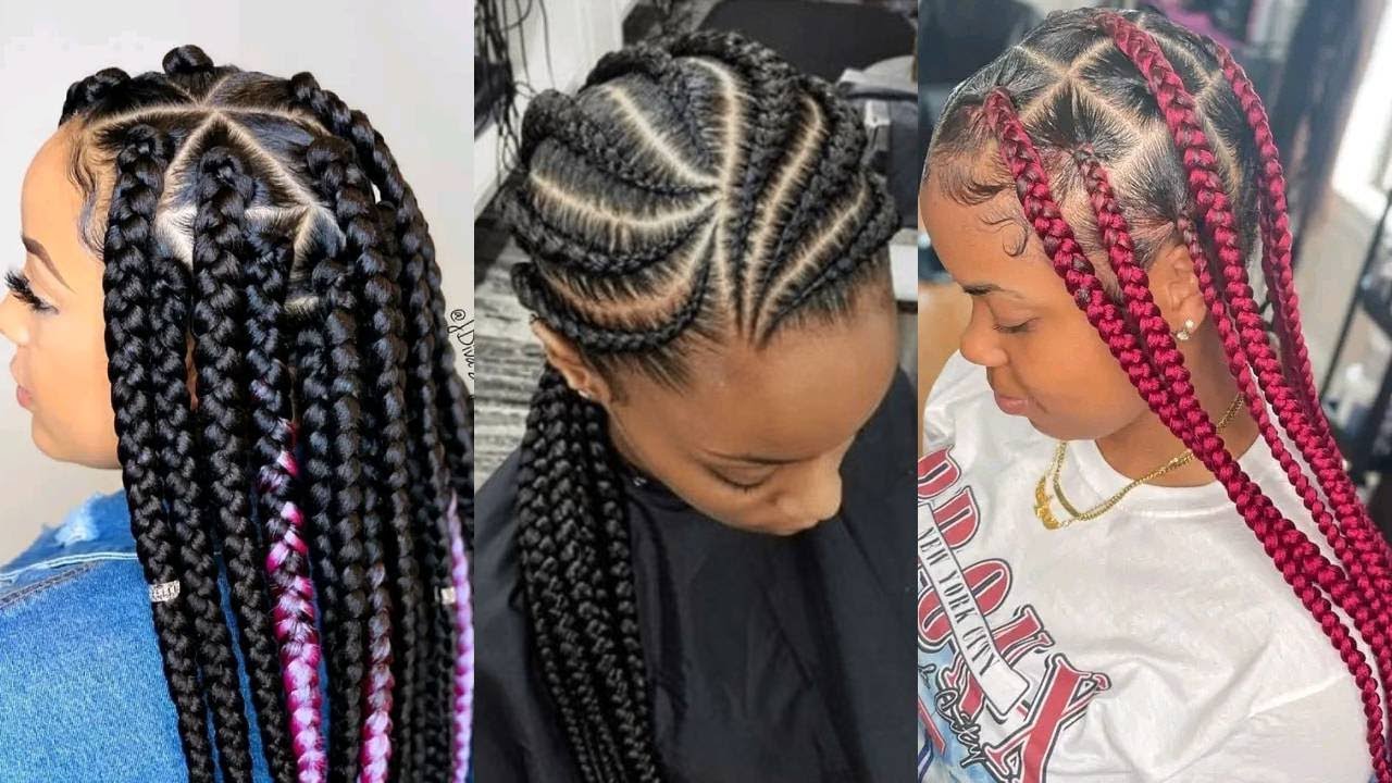 2025 Different Types of Braids Hairstyles