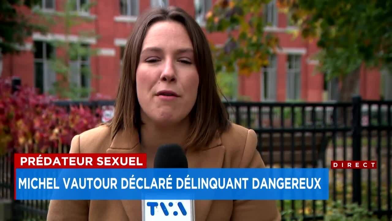 Enlèvement d’une ado en pleine rue: un prédateur récidiviste écope de la pire peine possible - Expli