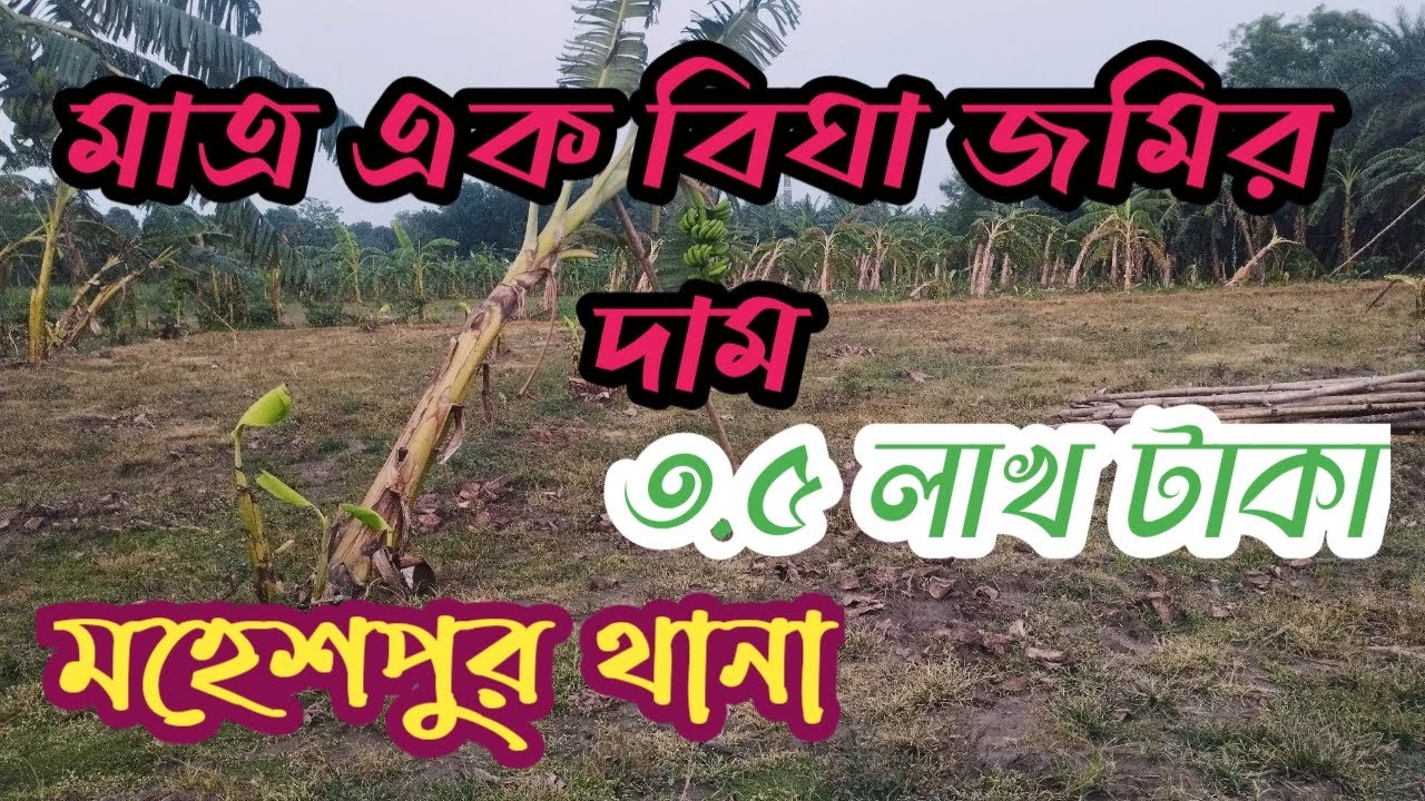 মহেশপুর থানায় জমি বিক্রয় ৩ বিঘা ১৩ কাটা // মহেশপুর জমি বিক্রয়