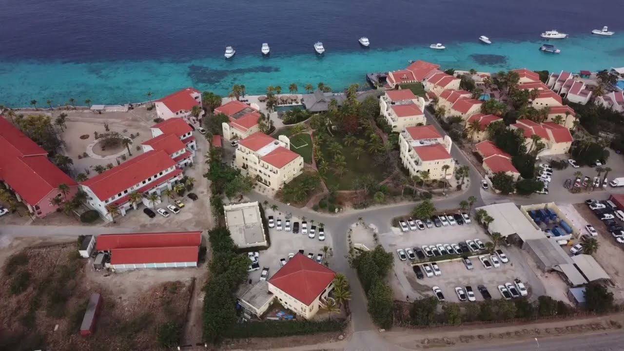Buddy Dive Resort from the air