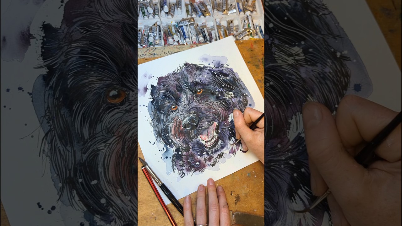 Black dogs are always fun to paint! Here's Rolo's portrait... #dogpainting #dogvideo #watercolour